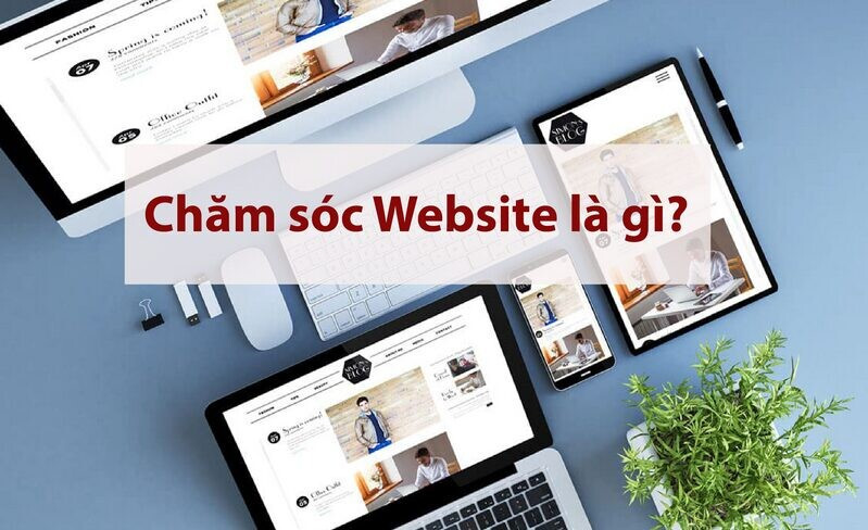 Dich Vu Cham Soc Web