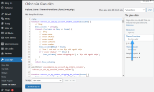 Cách chèn code vào file functions.php